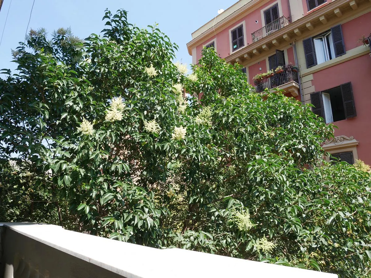 Nori Guest House Rom Bed & Breakfast